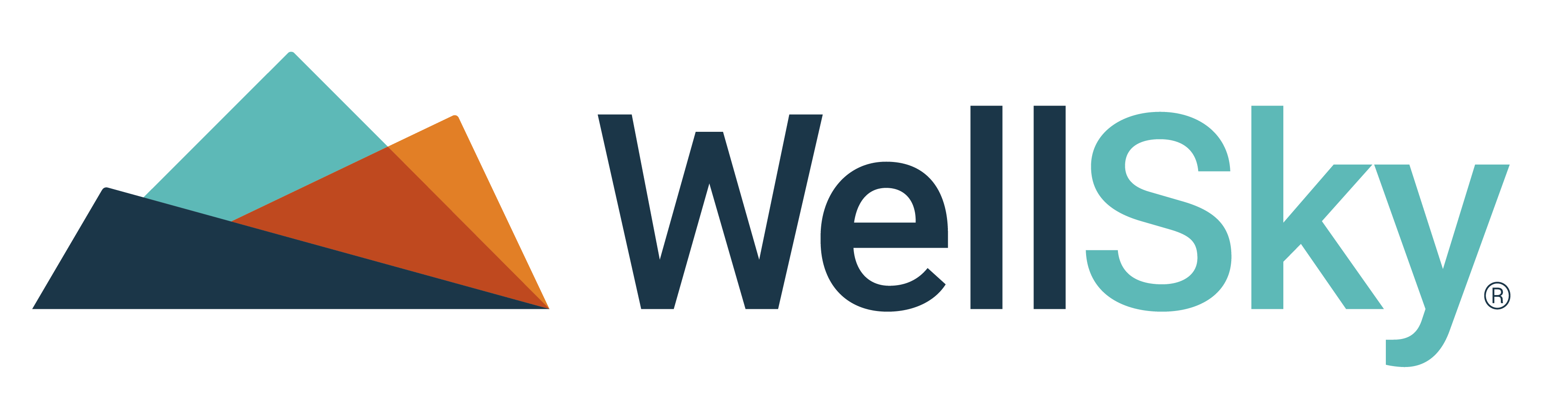 WellSky Hospice & PalliativeLogo